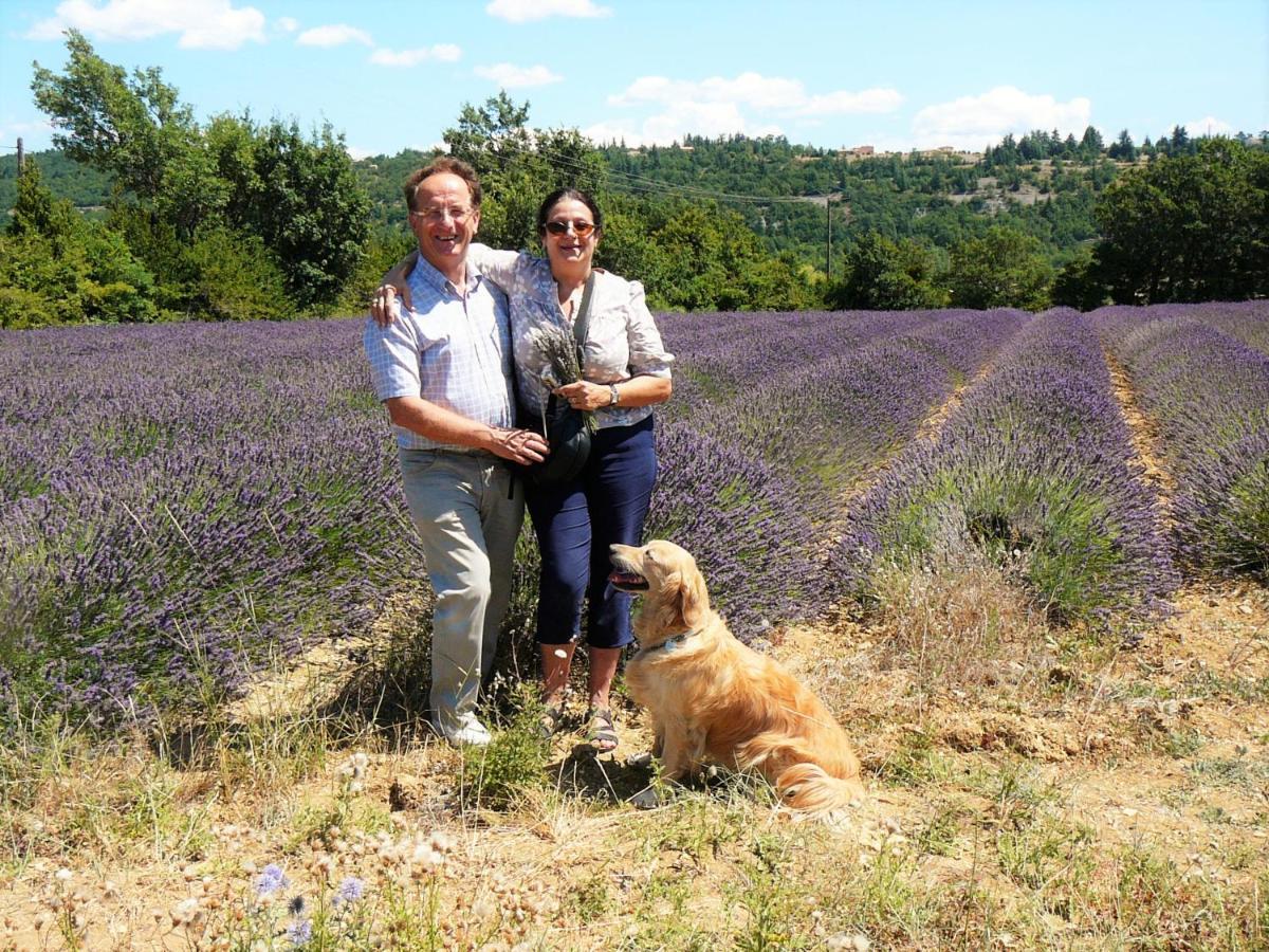 Santolines En Provence Piolenc Exterior foto