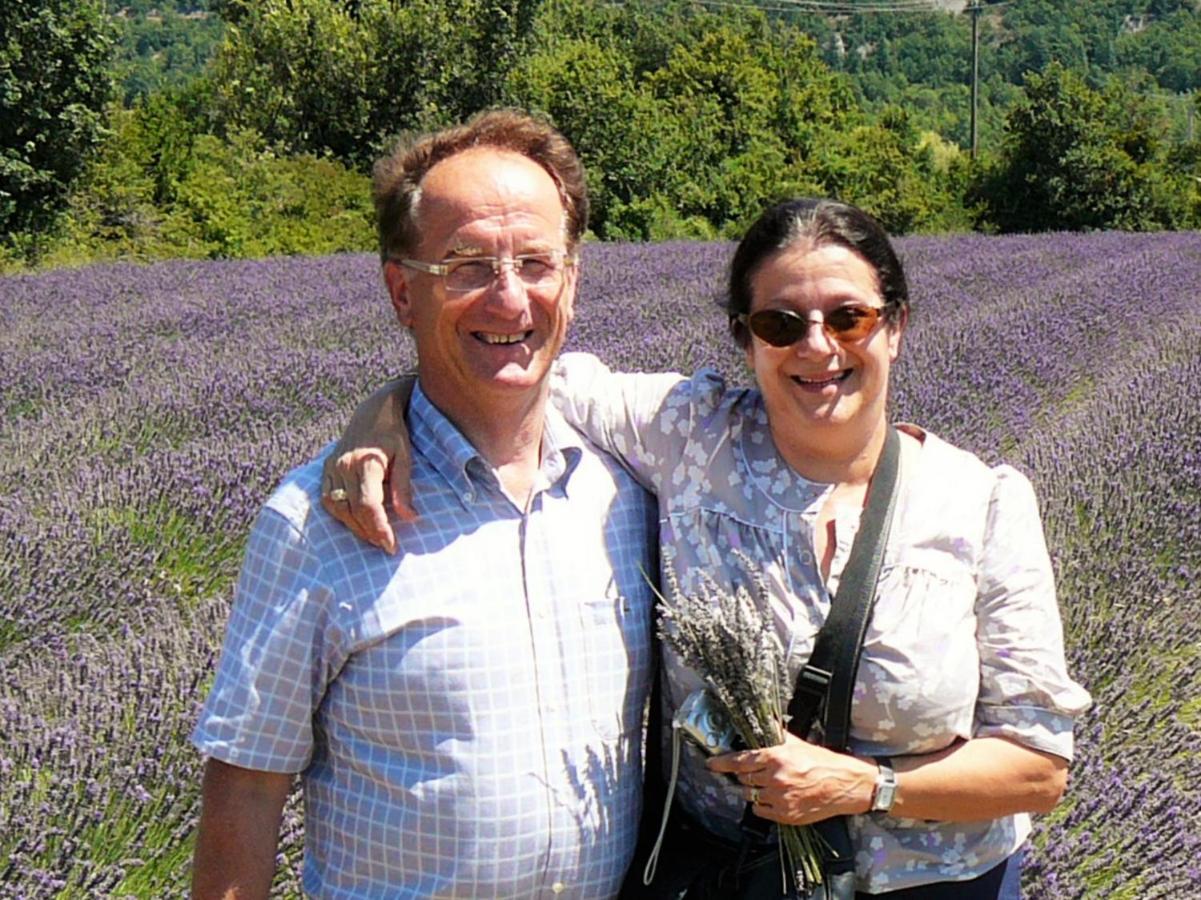 Santolines En Provence Piolenc Exterior foto
