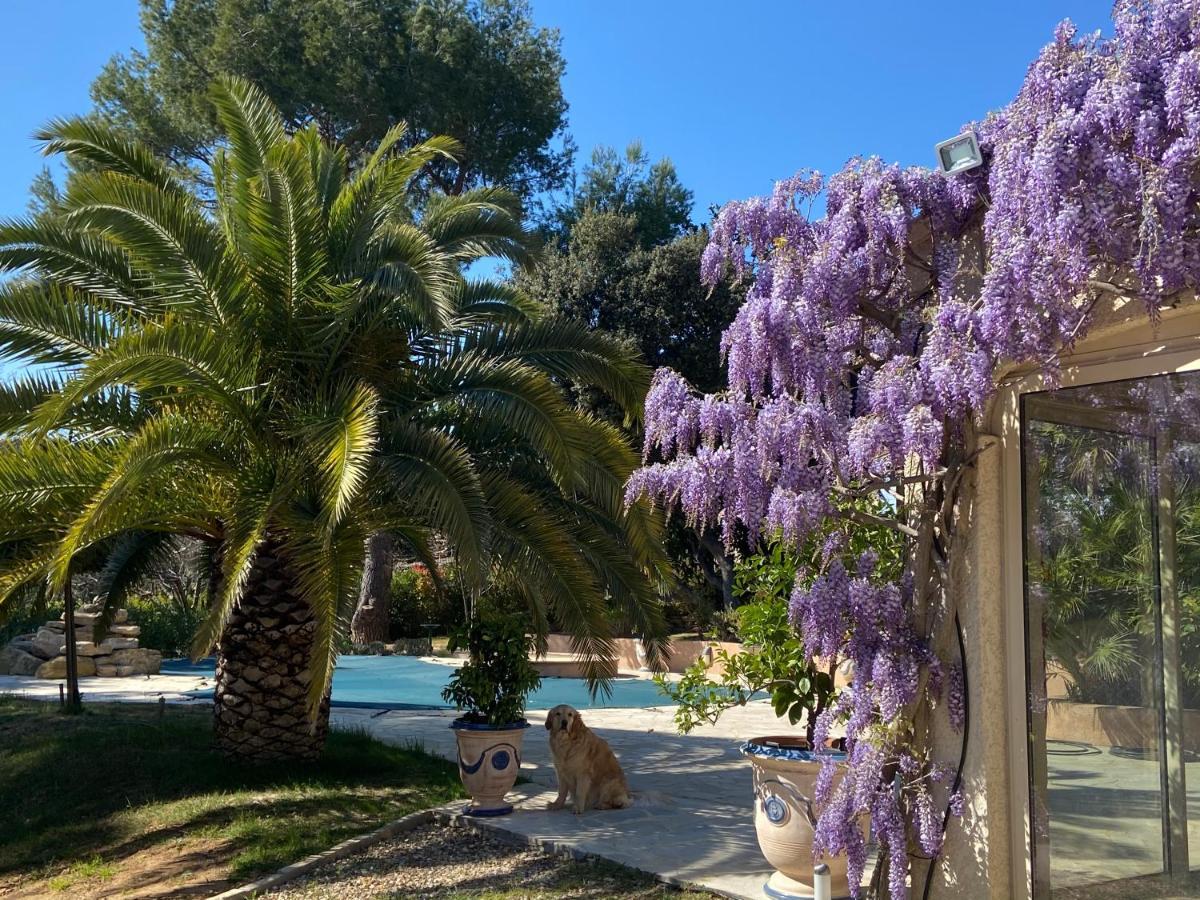 Santolines En Provence Piolenc Exterior foto
